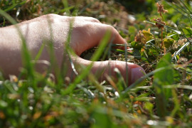 hand digging in grass