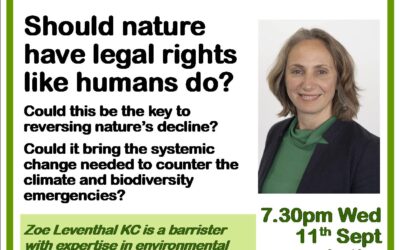 Reimagining law for the Earth: Should nature have legal rights like humans do?