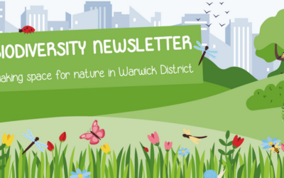 Warwick District: Climate News