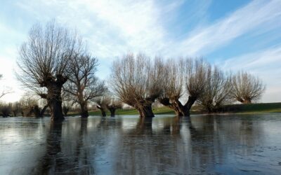 Rural Flood Resilience Partnership Launched