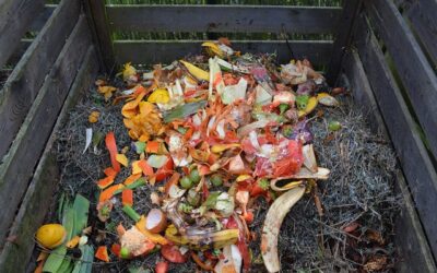 Solihull: New Food Waste Collection