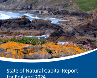 State of Nature Capital Report for England 2024