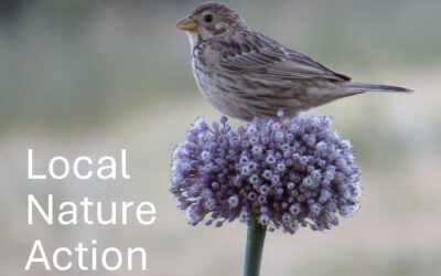 Warwickshire’s First Local Nature Action Plan Workshop