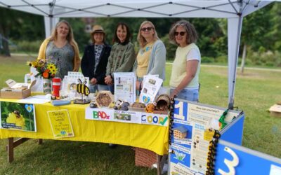 Bee Friendly Towns: Leamington and Warwick Join Kenilworth