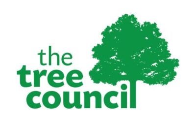 Tree Council: Branching Out Fund