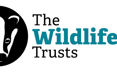 Funding for Communities to Improve Nature