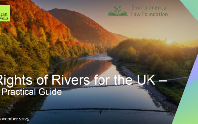 Rights of Rivers: How Councils Can Take Action