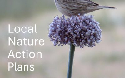 Local Nature Action Plan Webinar: Resources